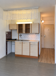 Pronájem bytu 1+1 v osobním vlastnictví 30 m², Brno