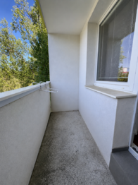 Pronájem bytu 1+1 v osobním vlastnictví 30 m², Brno