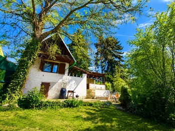 Pohled na chatu ze zahrady - Prodej chaty / chalupy 25 m², Roudnice nad Labem 