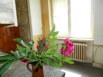 Okno z kuchyně. - Prodej bytu 2+1 v osobním vlastnictví 68 m², Aš