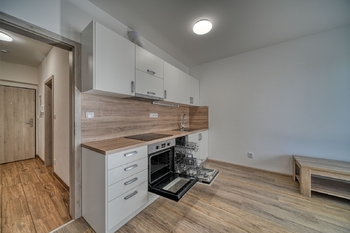 Pronájem bytu 1+kk v osobním vlastnictví 32 m², Poděbrady