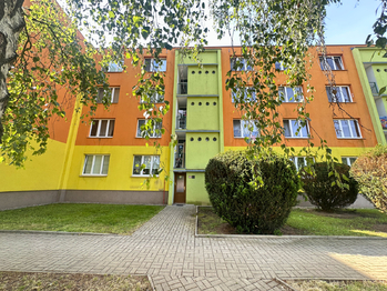 Prodej bytu 1+kk v družstevním vlastnictví 20 m², Postoloprty