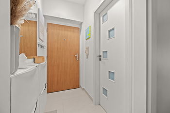 Prodej bytu 2+kk v osobním vlastnictví 45 m², Praha 3 - Žižkov