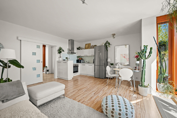 Prodej bytu 2+kk v osobním vlastnictví 45 m², Praha 3 - Žižkov