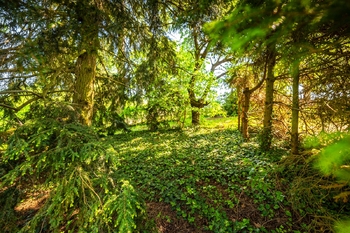 Prodej chaty / chalupy 121 m², Čížkrajice