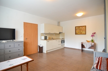 Prodej bytu 1+kk v osobním vlastnictví 34 m², Brod nad Dyjí