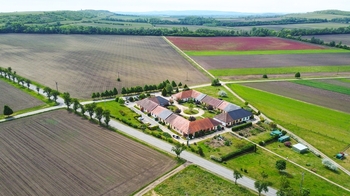Prodej bytu 1+kk v osobním vlastnictví 34 m², Brod nad Dyjí