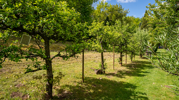Prodej chaty / chalupy 41 m², Brťov-Jeneč