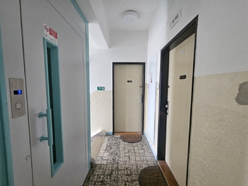 Prodej bytu 3+1 v osobním vlastnictví 69 m², Praha 10 - Vršovice
