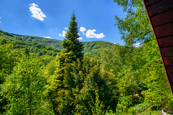 Prodej chaty / chalupy 45 m², Řeka