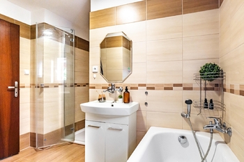 Prodej ubytovacího zařízení 250 m², Pastviny