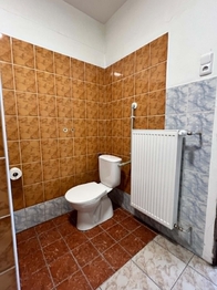 Pronájem výrobních prostor, Měřín