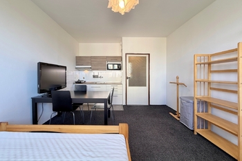 pohled od okna 2 - Pronájem bytu 1+kk v osobním vlastnictví 28 m², Praha 4 - Braník
