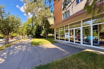 vstup do domu 1 - Pronájem bytu 1+kk v osobním vlastnictví 28 m², Praha 4 - Braník