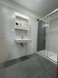 Pronájem bytu 3+kk v osobním vlastnictví 60 m², Benešov