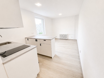 Pronájem bytu 1+kk v osobním vlastnictví 20 m², Praha 9 - Černý Most