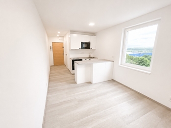Pronájem bytu 1+kk v osobním vlastnictví 20 m², Praha 9 - Černý Most