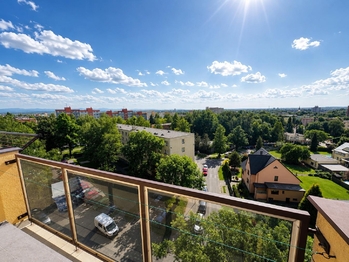 Prodej bytu 2+1 v družstevním vlastnictví 55 m², Karviná