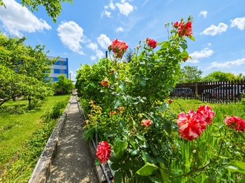 Prodej domu 91 m², Žatec