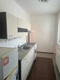 Pronájem bytu 1+1 v osobním vlastnictví 44 m², Zlín