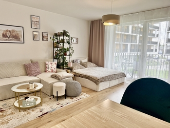 Pronájem bytu 1+kk v osobním vlastnictví 39 m², České Budějovice