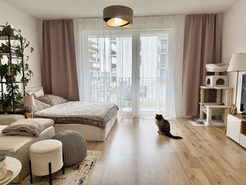 Pronájem bytu 1+kk v osobním vlastnictví 39 m², České Budějovice