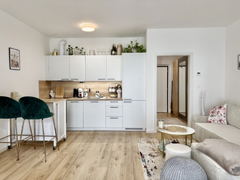 Pronájem bytu 1+kk v osobním vlastnictví 39 m², České Budějovice