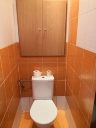 Pronájem bytu 2+1 v družstevním vlastnictví 59 m², Orlová