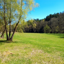Prodej chaty / chalupy 46 m², Červená Řečice