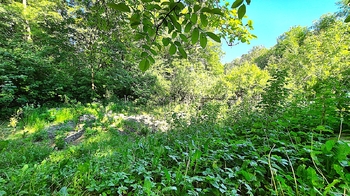 Prodej domu 174 m², Peruc