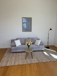 Pronájem bytu 2+1 v osobním vlastnictví 67 m², Praha 3 - Vinohrady