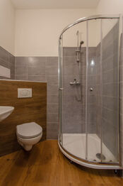 Pronájem bytu 1+kk v osobním vlastnictví 27 m², Brno
