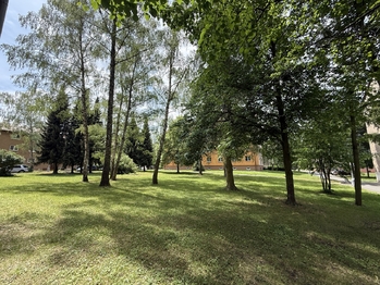 Prodej bytu 1+1 v osobním vlastnictví 29 m², Kladno