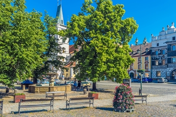 Pronájem obchodních prostor, Litoměřice