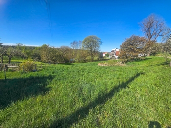 pozemek s jezírkem - Prodej pozemku 1696 m², Vlkov