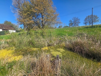 jezírko - Prodej pozemku 1696 m², Vlkov