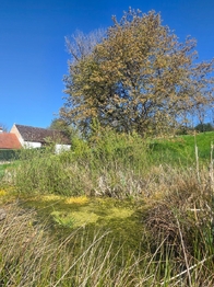 jezírko - Prodej pozemku 1696 m², Vlkov