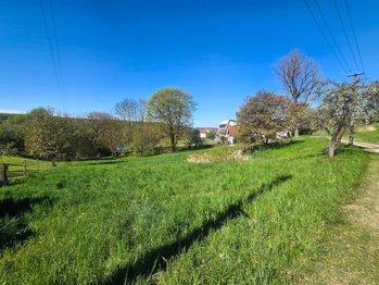 pozemek s jezírkem - Prodej pozemku 1696 m², Vlkov