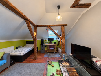 Prodej domu 345 m², Chomutov
