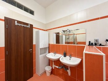Prodej domu 345 m², Chomutov