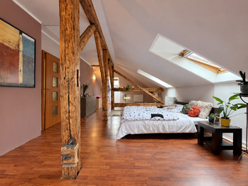 Prodej domu 345 m², Chomutov