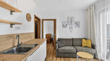 Prodej bytu 2+kk v osobním vlastnictví 28 m², Černá v Pošumaví