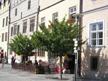 předzahrádka - Pronájem restaurace 374 m², Slavonice