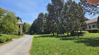 Přístupová cesta k domu - Prodej chaty / chalupy 73 m², Koryčany