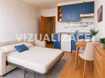 Pronájem bytu 1+kk v osobním vlastnictví 22 m², Brno