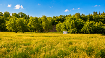 Prodej pozemku 942 m², Zruč nad Sázavou