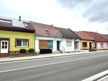 Prodej ubytovacího zařízení 132 m², Bzenec