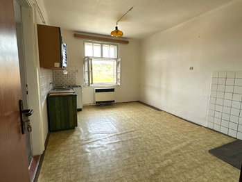 Prodej bytu 1+1 v osobním vlastnictví 46 m², Planá