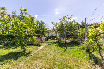 zahrada je osázená ovocnými stromy - Prodej domu 96 m², Mníšek pod Brdy