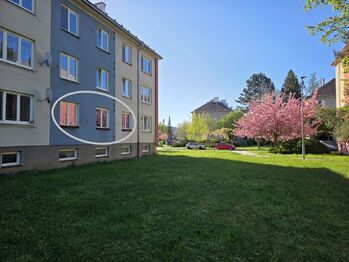 Pronájem bytu 2+1 v osobním vlastnictví 47 m², Mohelnice